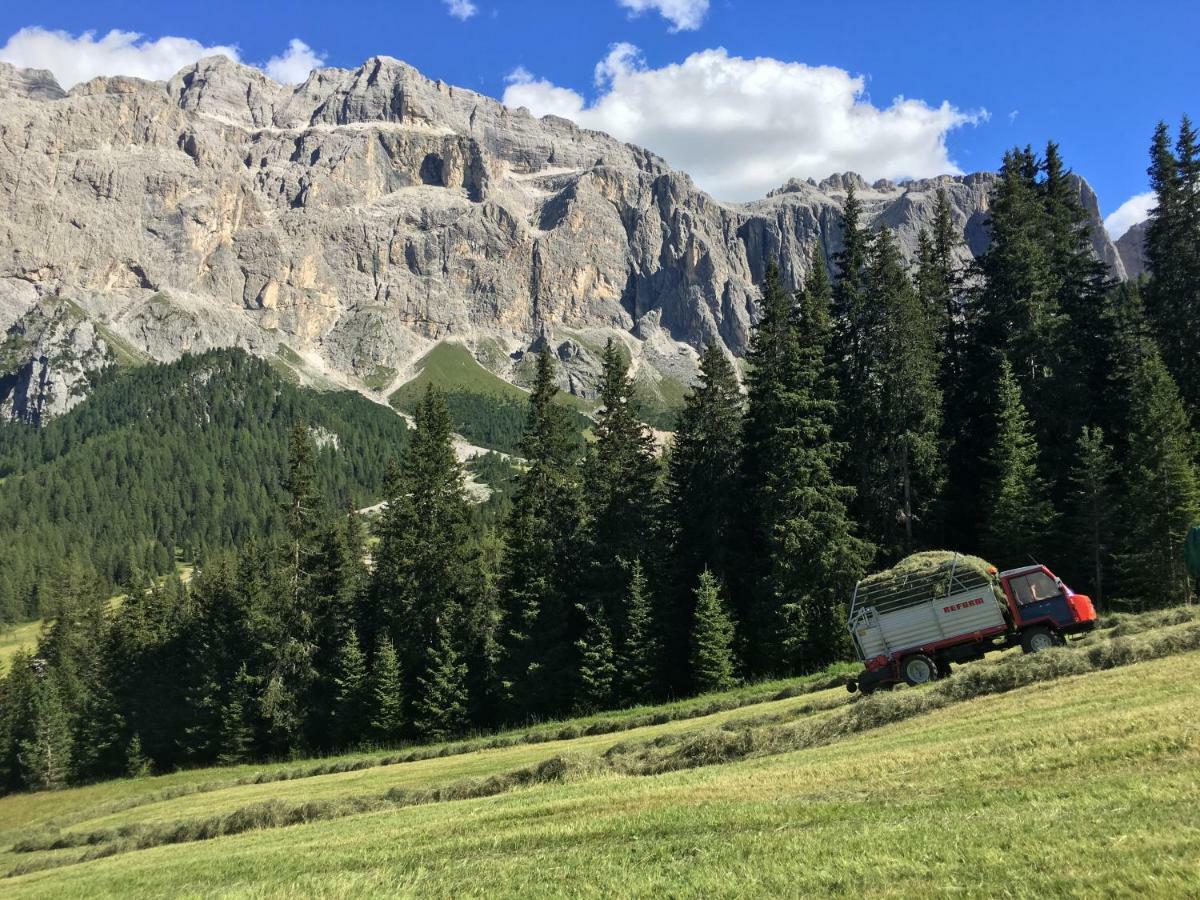 Chalet Albric Selva di Val Gardena Ngoại thất bức ảnh